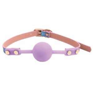 Hello Sexy Gag Order-Purple