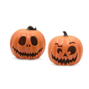 Calabaza de Plastico 20x24